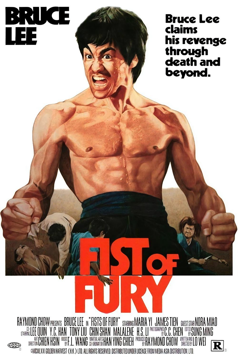 CoolWalls.ca Posters, Prints, & Visual Artwork Bruce Lee Firsts of Fury Movie Poster Vintage Artwork: Peel_n_Stick onto the wall, wallpaper like fabric