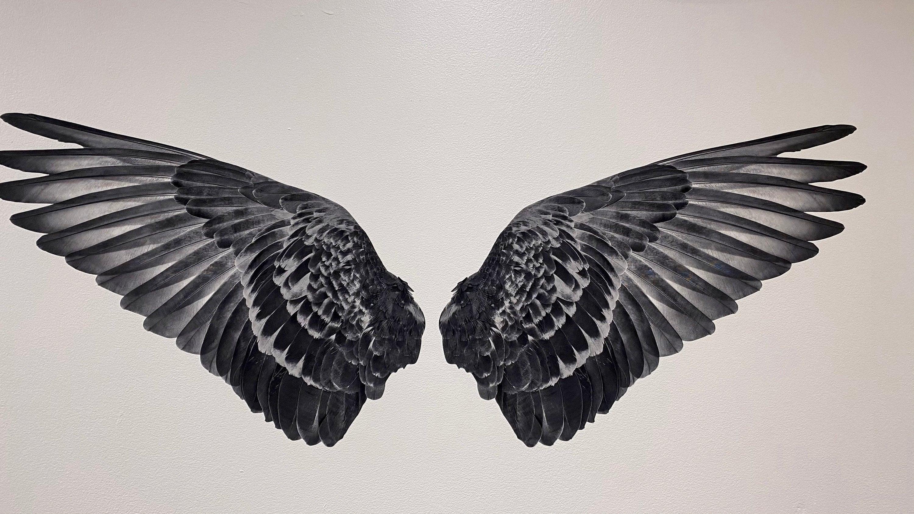 Gray Angel Wings Decal, Street Art, Graffiti, Instagram image,