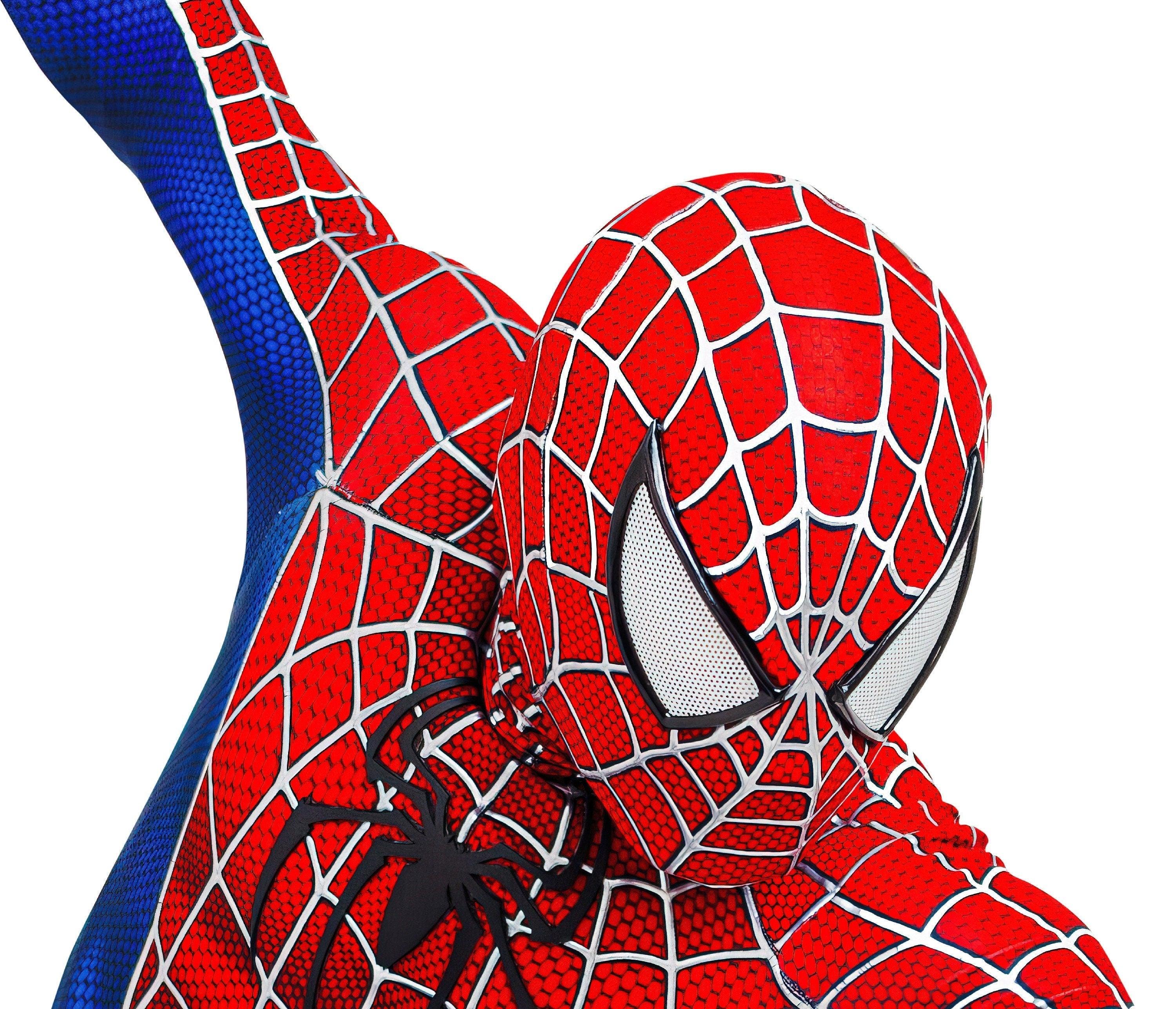 Spiderman Decal is a great addition to any Kids Room and 100% No Wall Damage