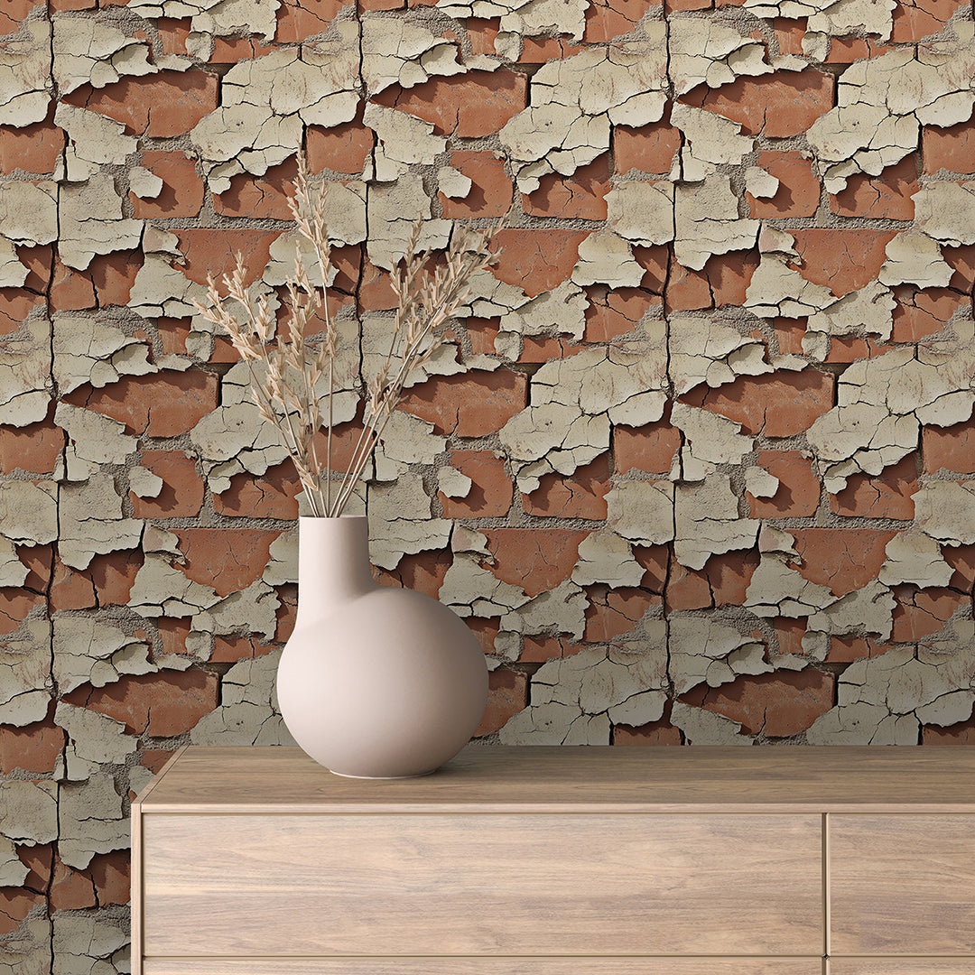 Peeling Plaster Terracotta Brick 0020