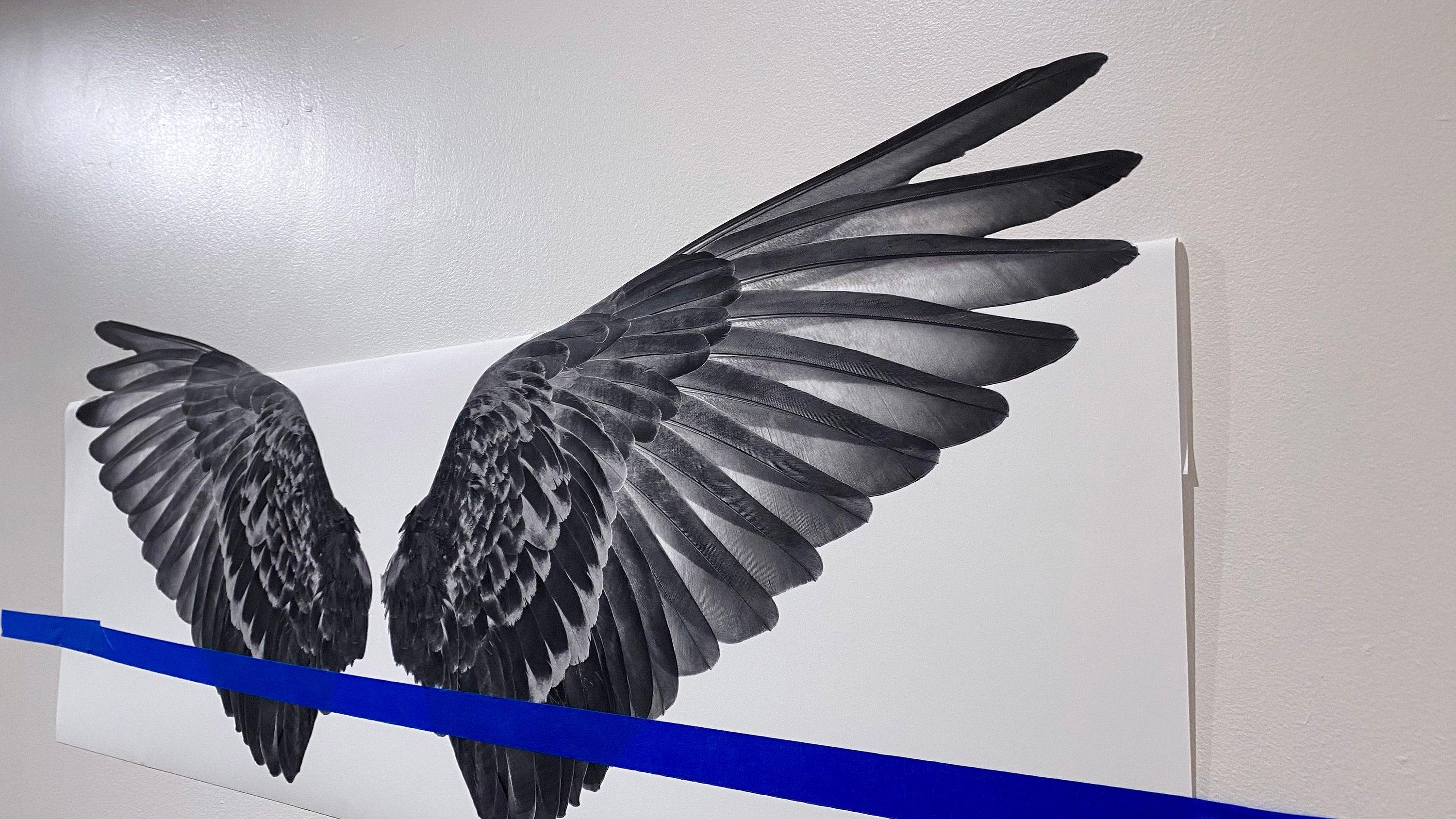 Black Wings Die Cut to Wings, Removable wall Decal