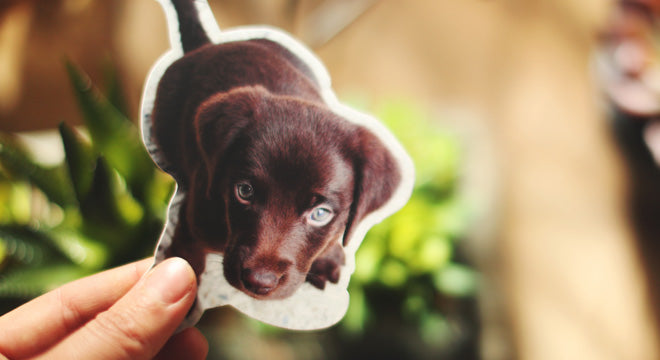 Custom Photo Stickers