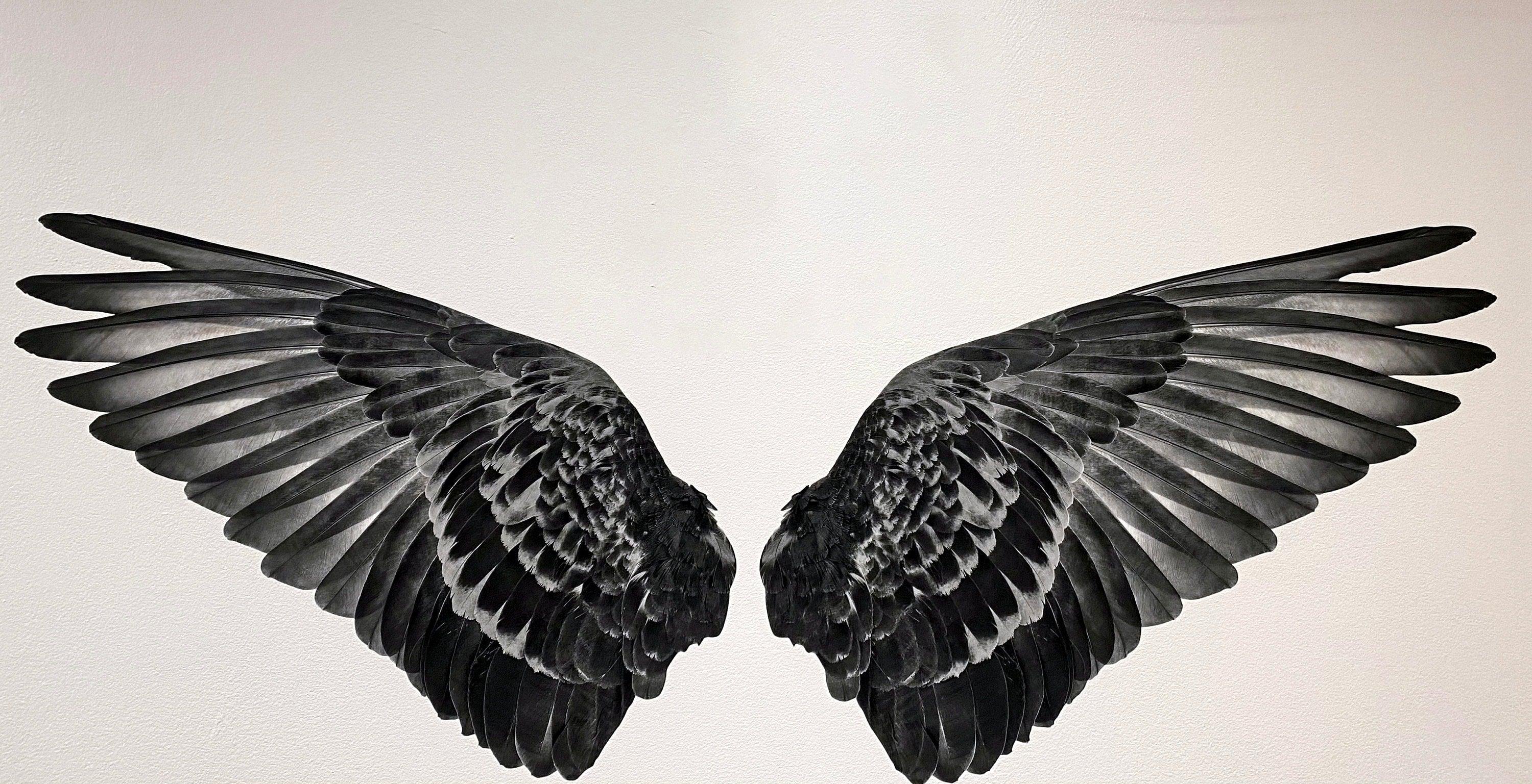 Gray Angel Wings Decal, Street Art, Graffiti, Instagram image,
