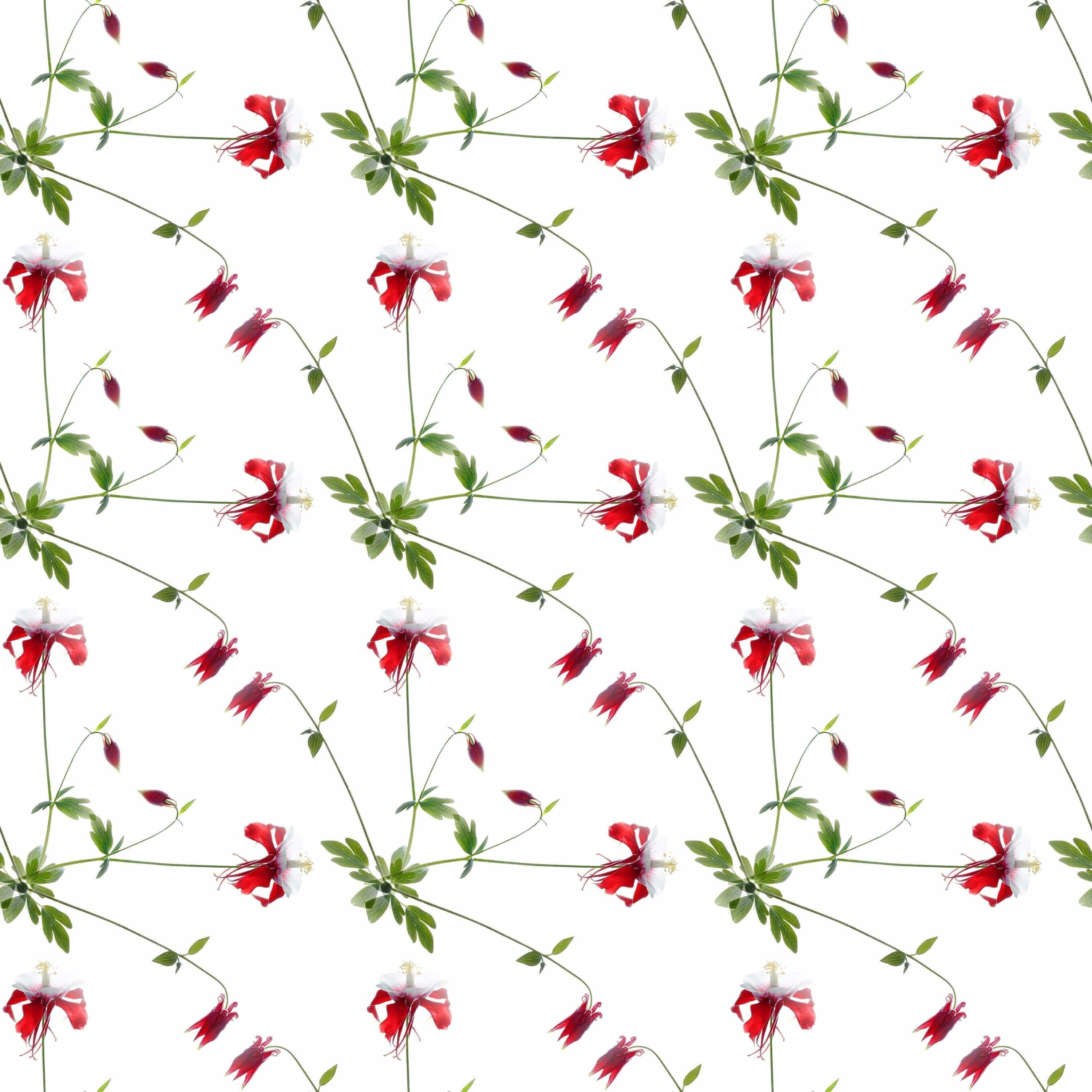 Hawaiian Hibiscus Removable Wallpaper in 28" Rolls