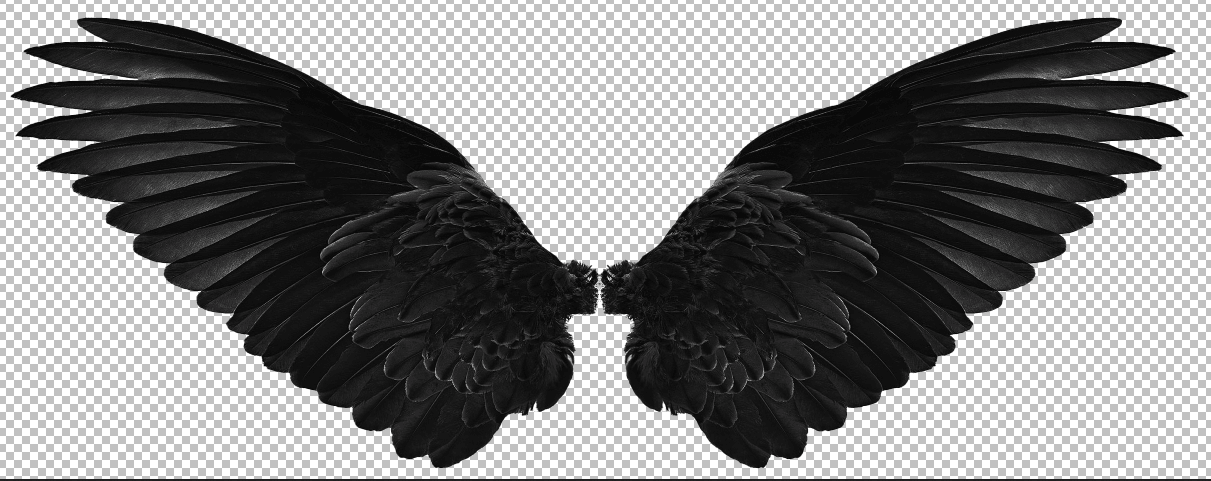 Removable Indoor, Fabric Peel-N-Stick Wall Decal: Black Wings Die Cut to Wings
