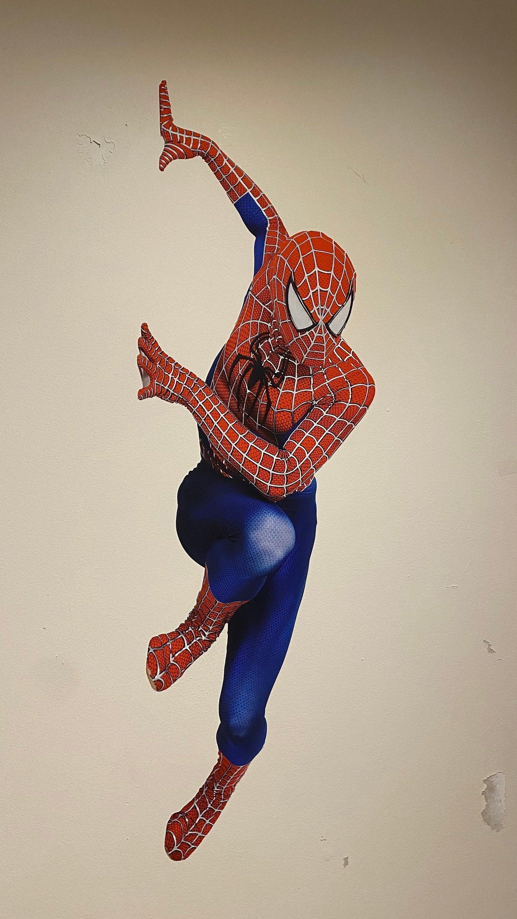 Spiderman Decal is a great addition to any Kids Room and 100% No Wall Damage