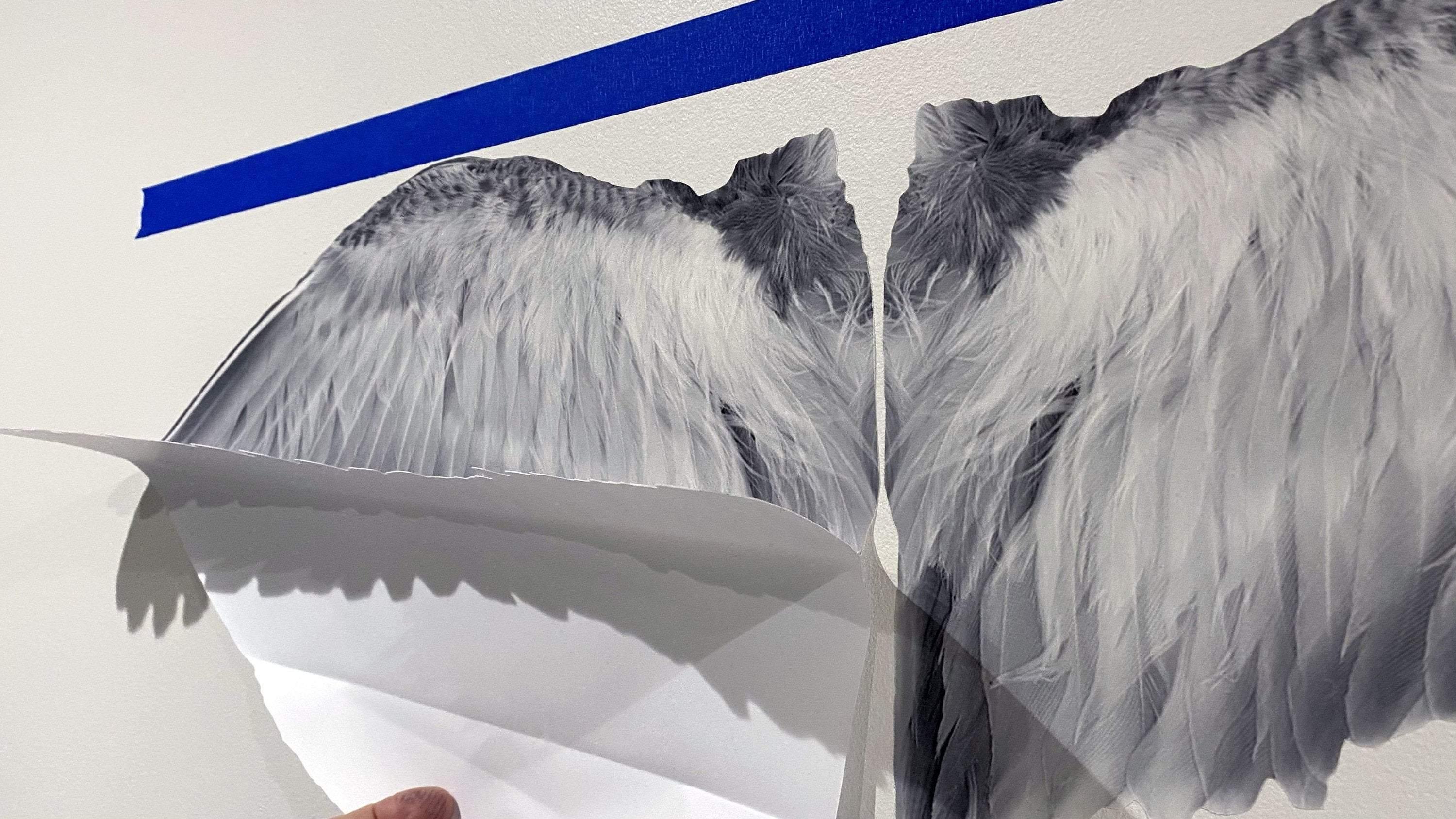 White Gray Wings Die Cut to Wings, Wall Decals, Angel Wings, Bird Wings